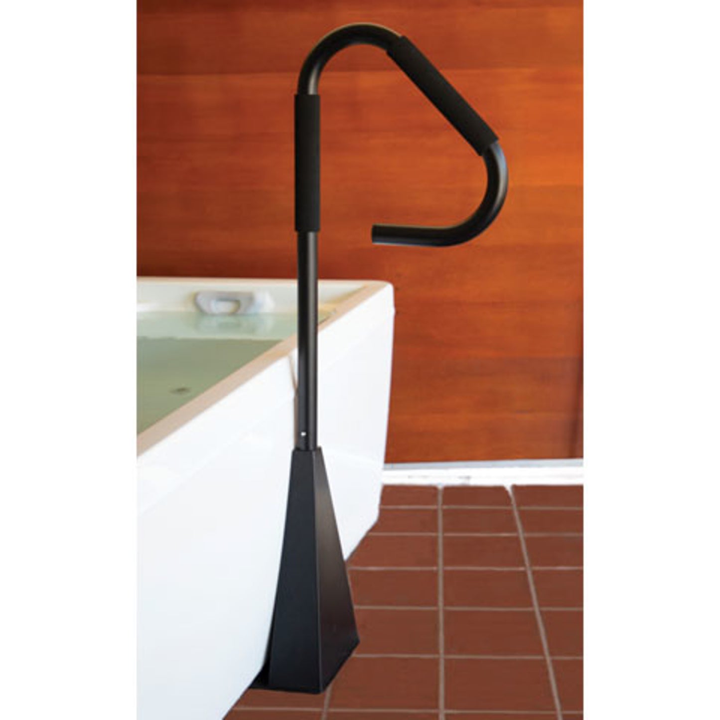 Spa Escort® Undermount Entry Rail